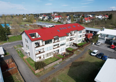 Jöklasel 3
